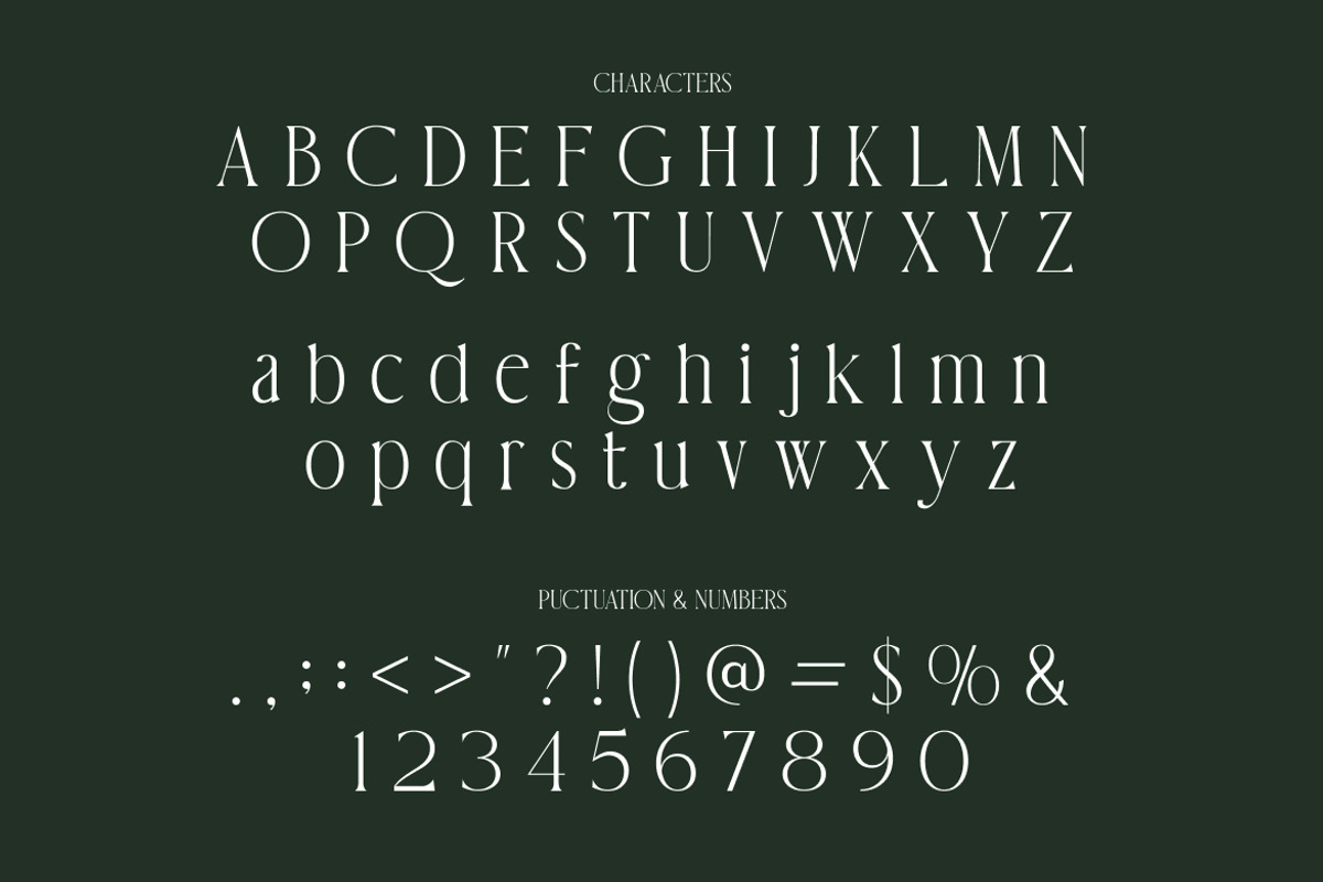 Theorine Modern Condensed Serif Font, a Serif Font by Vadovastd (Photo 2 of 7)