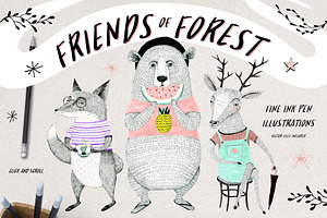 Friends of Forest Illustrations Set