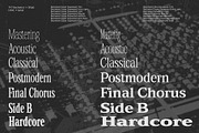 TFC Bachelord - High Contrast Font, a Sans Serif Font by Type Flock (Thumbnail 6 of 15)