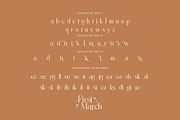 First March, a Serif Font by Nathatype (Thumbnail 8 of 10)