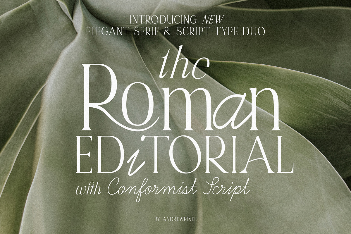 Roman Editorial + Aesthetic Script, a Font by AndrewPixelType (Photo 1 of 11)