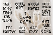 Crazy Cat Font. + Cat quotes, an Animal Illustration by DearLetters (Thumbnail 6 of 7)