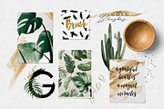 Greenery Summer Design Set, a Texture Illustration by Graphic Box (Thumbnail 5 of 9)