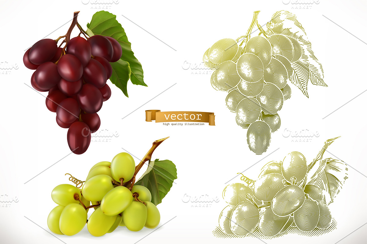 Red wine, dessert wine, vector icons, an Icon by Allevinatis Studio (Photo 3 of 6)