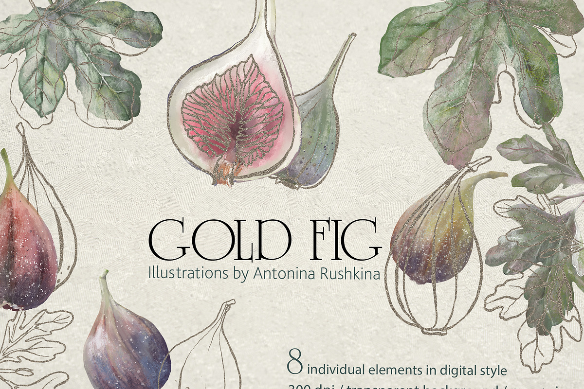 Botanical illustration of figs, a Graphic by RushkinaAntonina (Photo 1 of 6)