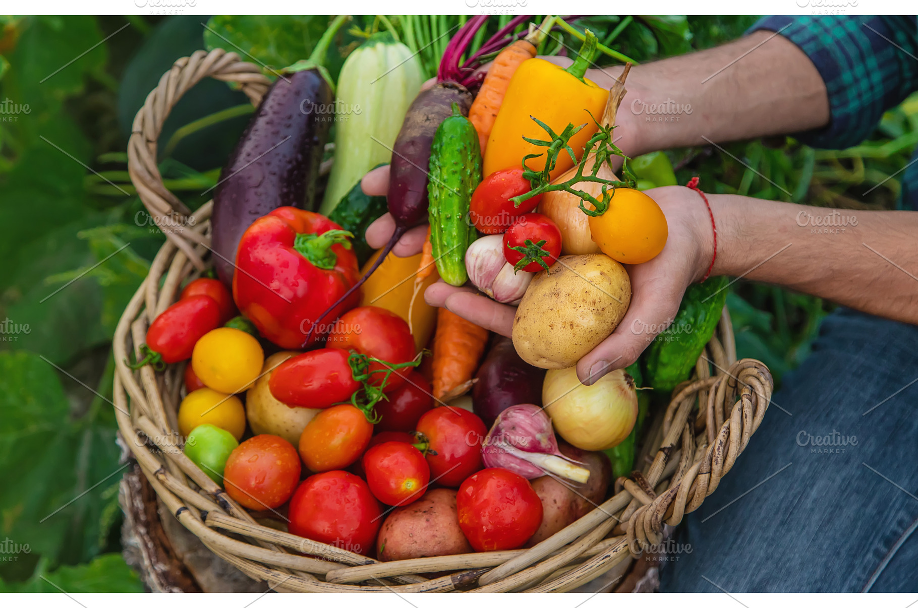 A man with a harvest of vegetables, a Food & Drink Photo by yanadjana