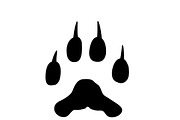 Cat svg, Funny Cats Vector Cut Files, an Animal Illustration by Watercolor_Vector Graphic (Thumbnail 25 of 25)