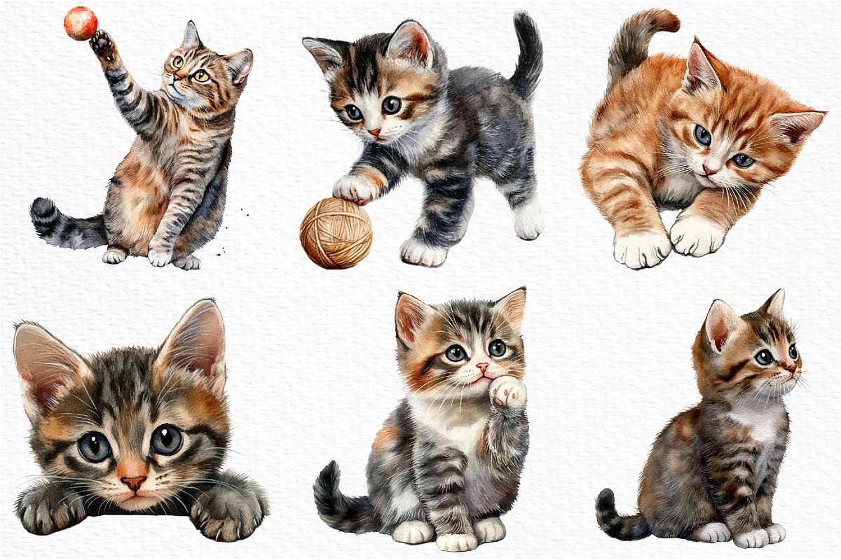 Watercolor Cat Clipart, an Illustration by Craft Nest (Photo 4 of 12)