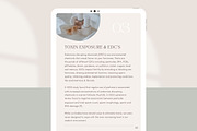 Preconception Fertility Ebook Canva, a Presentation Template by Naturopath Hub (Thumbnail 8 of 9)