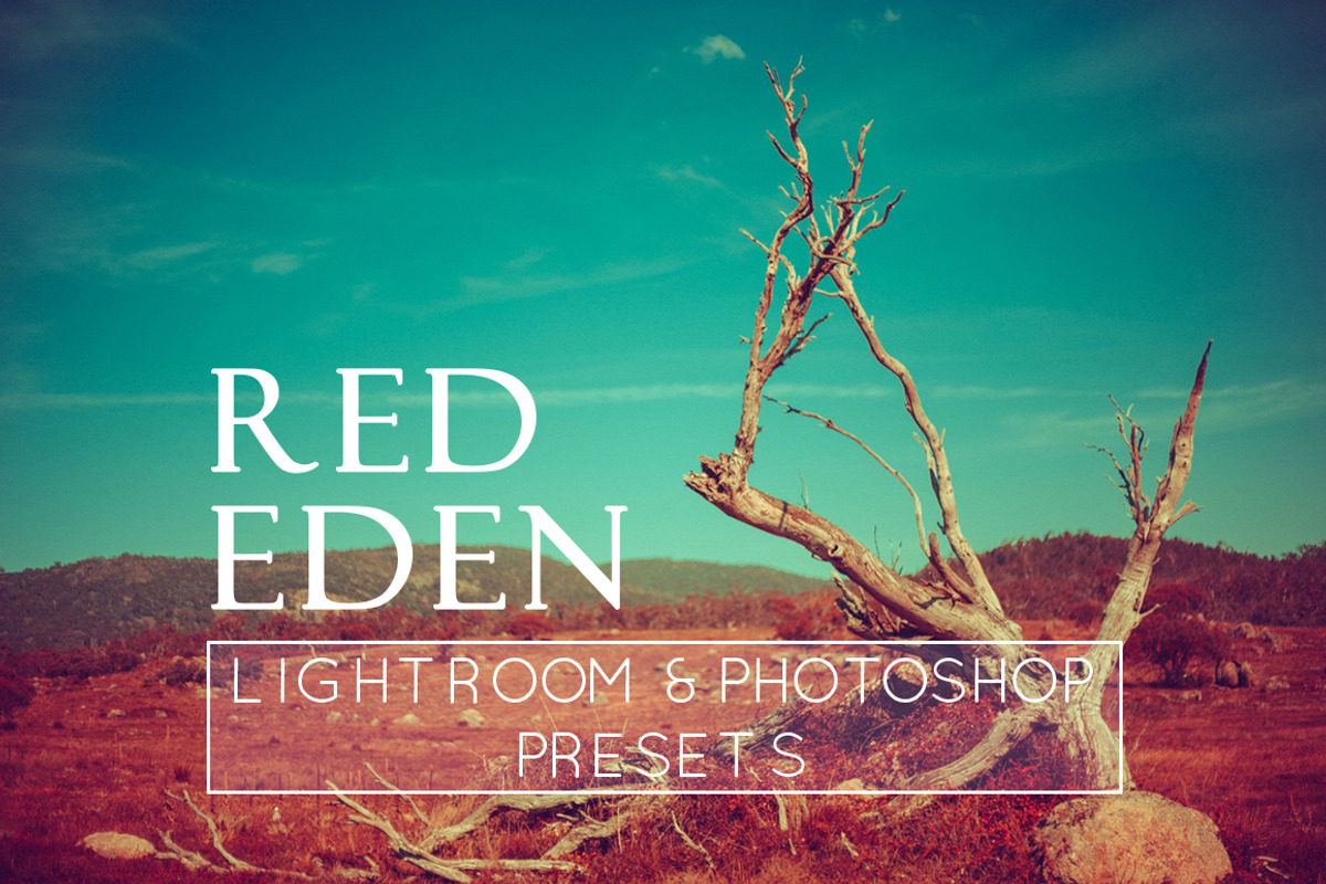3 Unique Colour Tone Lr & Ps Presets preview 4
