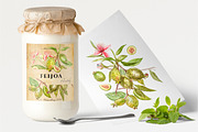 Feijoa Graphic & Watercolor clipart, a Food Illustration by Ann Astro (Thumbnail 8 of 10)