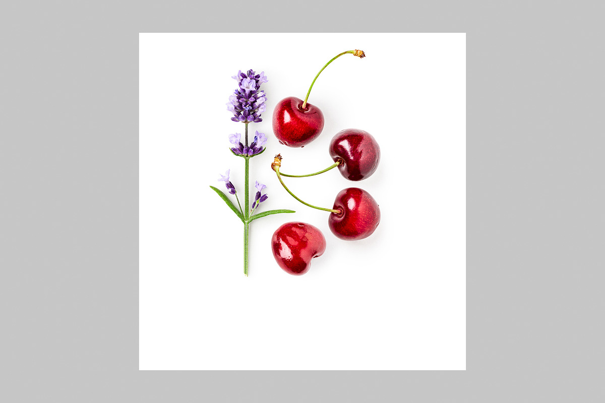 Lavender Herb Photo Pack, a Nature Photo by ifiStudio (Photo 13 of 14)