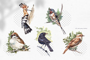 Handdrawn watercolor birds, an Illustration by Tilling (Thumbnail 2 of 5)