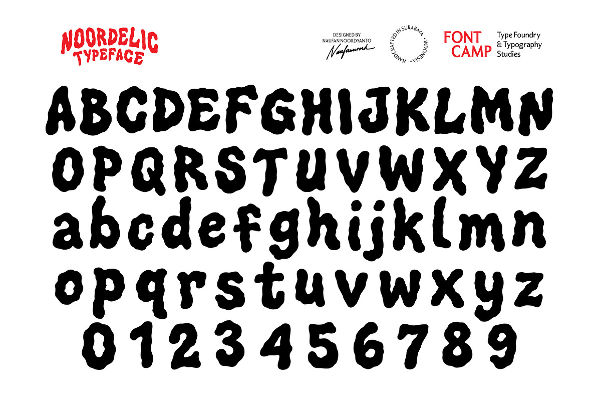 Noordelic Font, a Symbol Font by Fontcamp Type Foundry (Photo 2 of 14)
