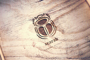 Scarab. Logo template, a Branding & Logo Template by le-genda (Thumbnail 11 of 12)