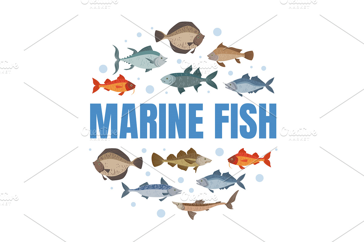 Marine Fish Banner Template with, an Animal Illustration by TopVectors