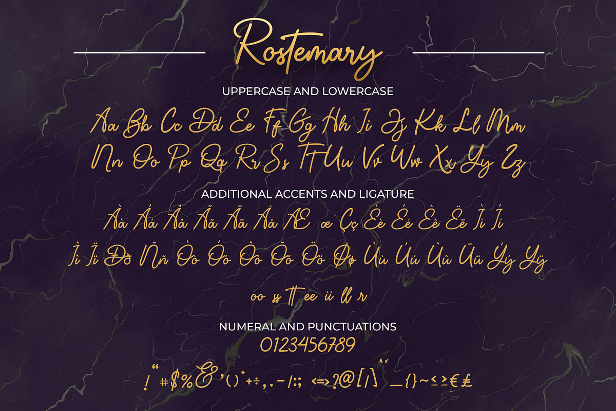 Rostemary - Elegant Monoline Font, a Script Font by Almarkhatype (Photo 9 of 10)