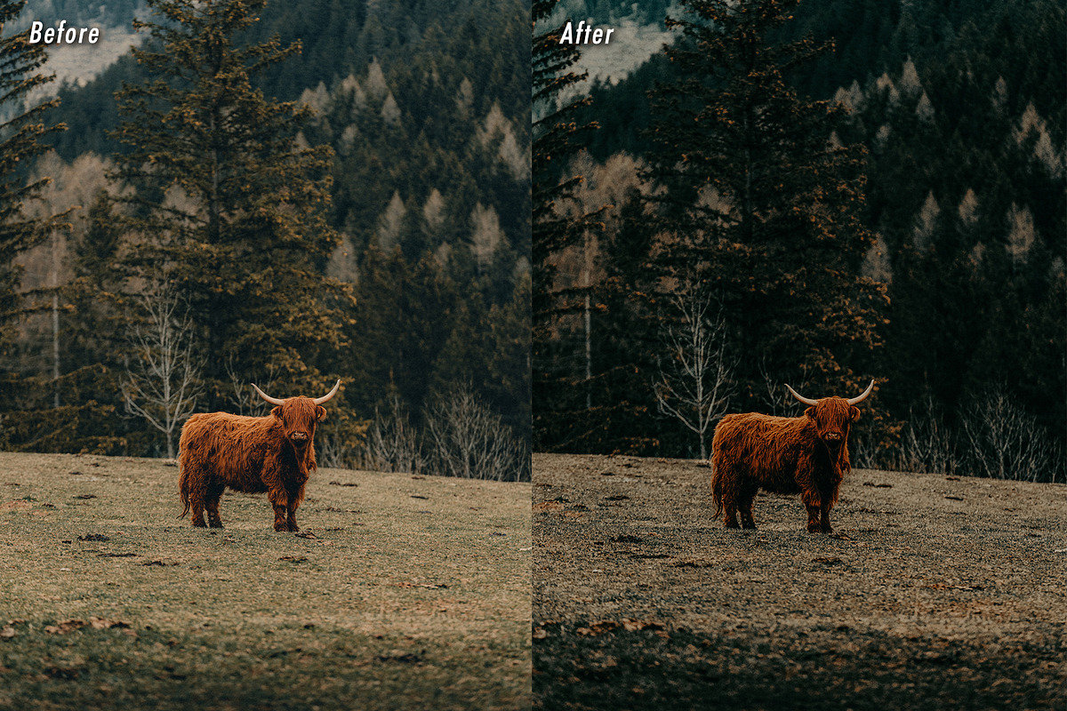 10 Dark Green Lightroom Presets, a Preset Add-On by CVR Presets (Photo 8 of 8)