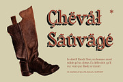 CS Amadeus – Tuscan Font, a Serif Font by Craft Supply Co. (Thumbnail 3 of 8)