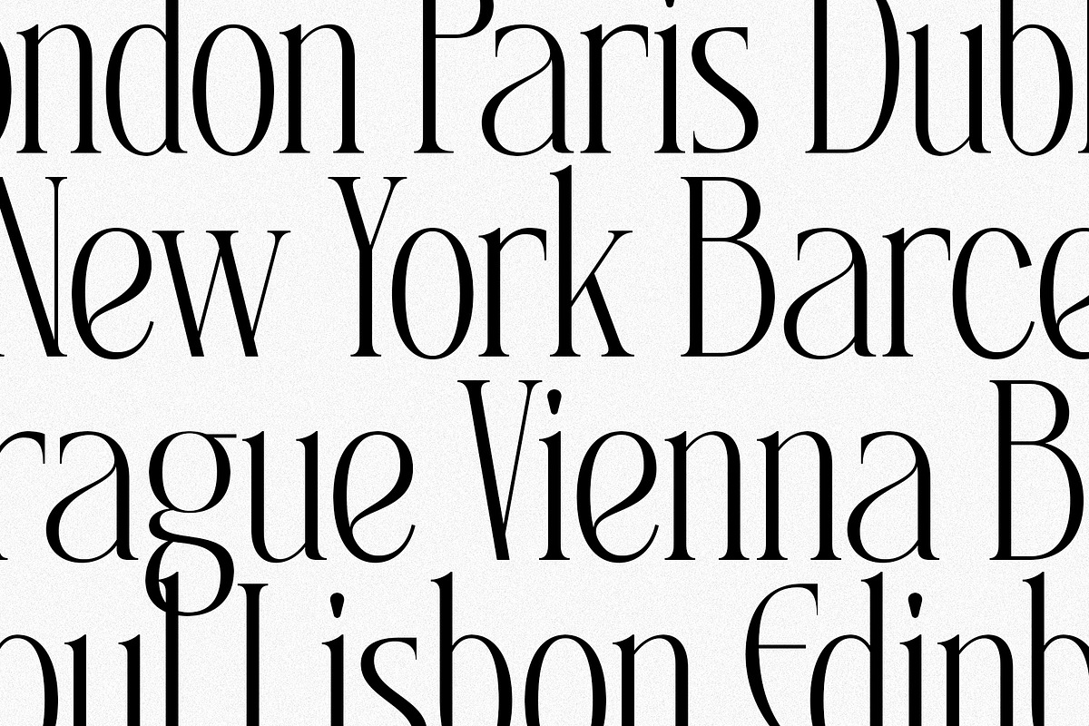SLTF Rogue Rebellion - Ligature Font, a Serif Font by SilverStag Type Foundry (Photo 23 of 30)