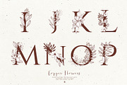 Copper Flowers with Alphabet, a Decorative Illustration by Bloomart Studio (Thumbnail 5 of 8)