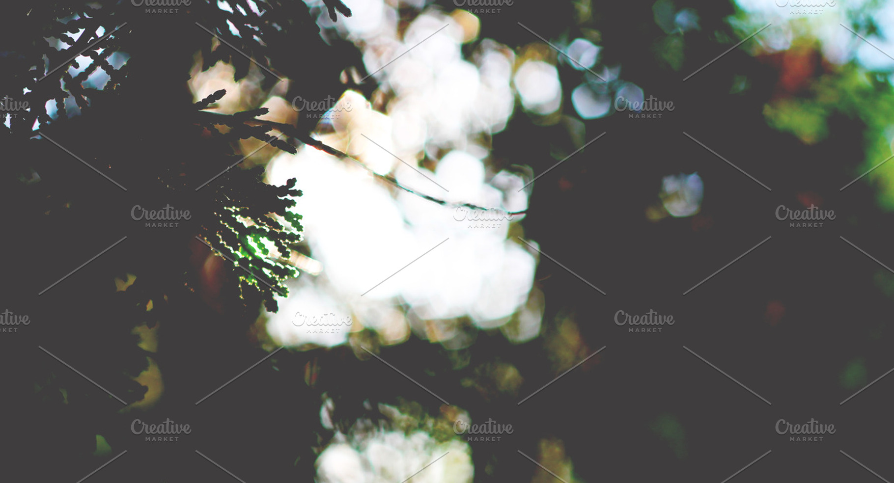 Abstract Tree