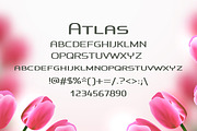 Atlas Summer Font, a Script Font by DmDesignsStoreArt (Thumbnail 2 of 2)