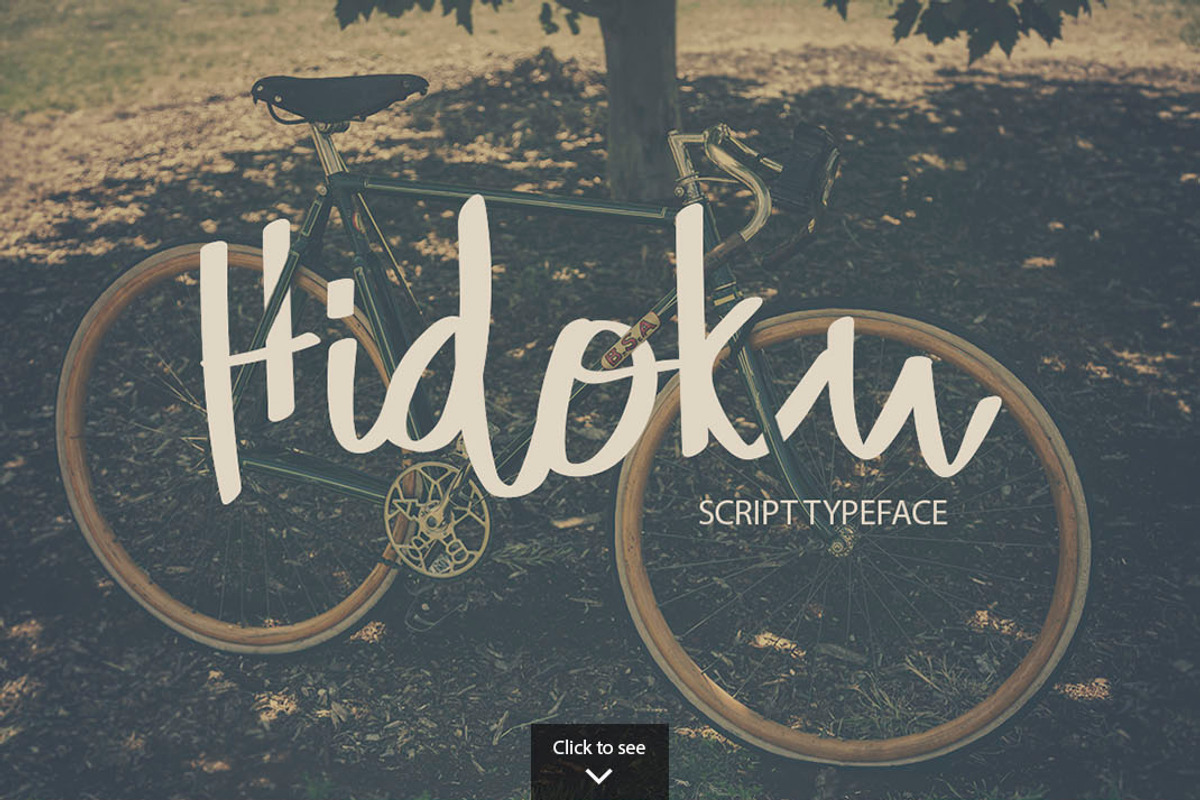 15 Essential Font Bundle preview 3