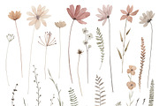Autumn Wildflower Collection, an Illustration by Natikka Art (Thumbnail 2 of 3)