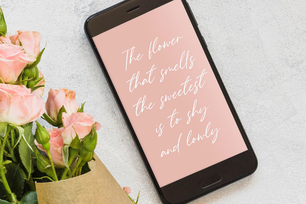 Gardenisa - Modern Calligraphy Font, a Script Font by Balpirick Studio (Photo 2 of 7)
