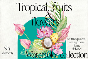 Tropical Fruits And Flowers