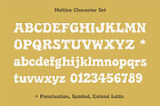 Meltica - Handmade Organic Serif, a Serif Font by Panatype™ Studio (Thumbnail 5 of 10)