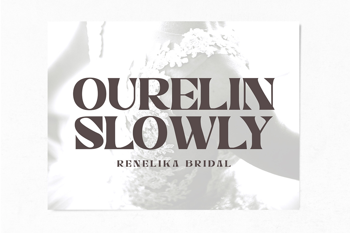Nelona Serif, a Serif Font by Megatype (Photo 5 of 11)
