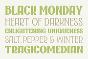 Reizo - a subtle sans serif, a Sans Serif Font by Zeune Type Foundry (Thumbnail 8 of 10)