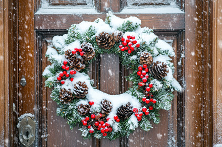 Snowy wreath adorned with pinecones, a Photo by Iftikhar Alam