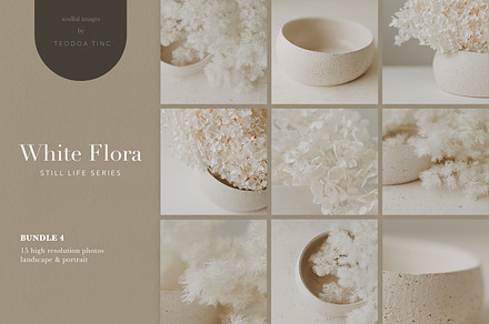 Stock Photos - White Flora Bundle 4, a Photo by Teodora Tinc