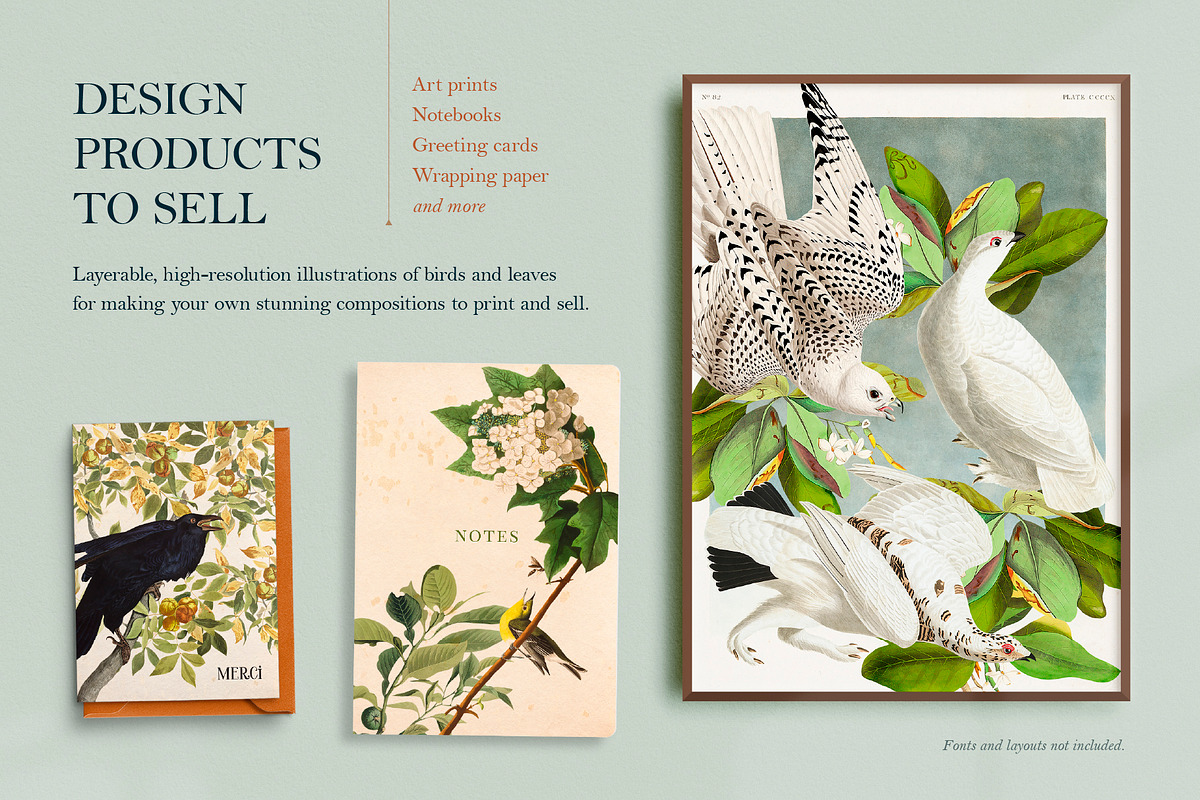 90 Vintage Birds of America, an Illustration by The Object Atlas (Photo 6 of 9)