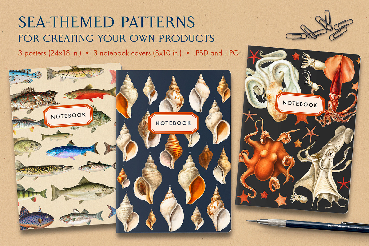 60 Vintage Marine Creatures, an Illustration by The Object Atlas (Photo 7 of 8)