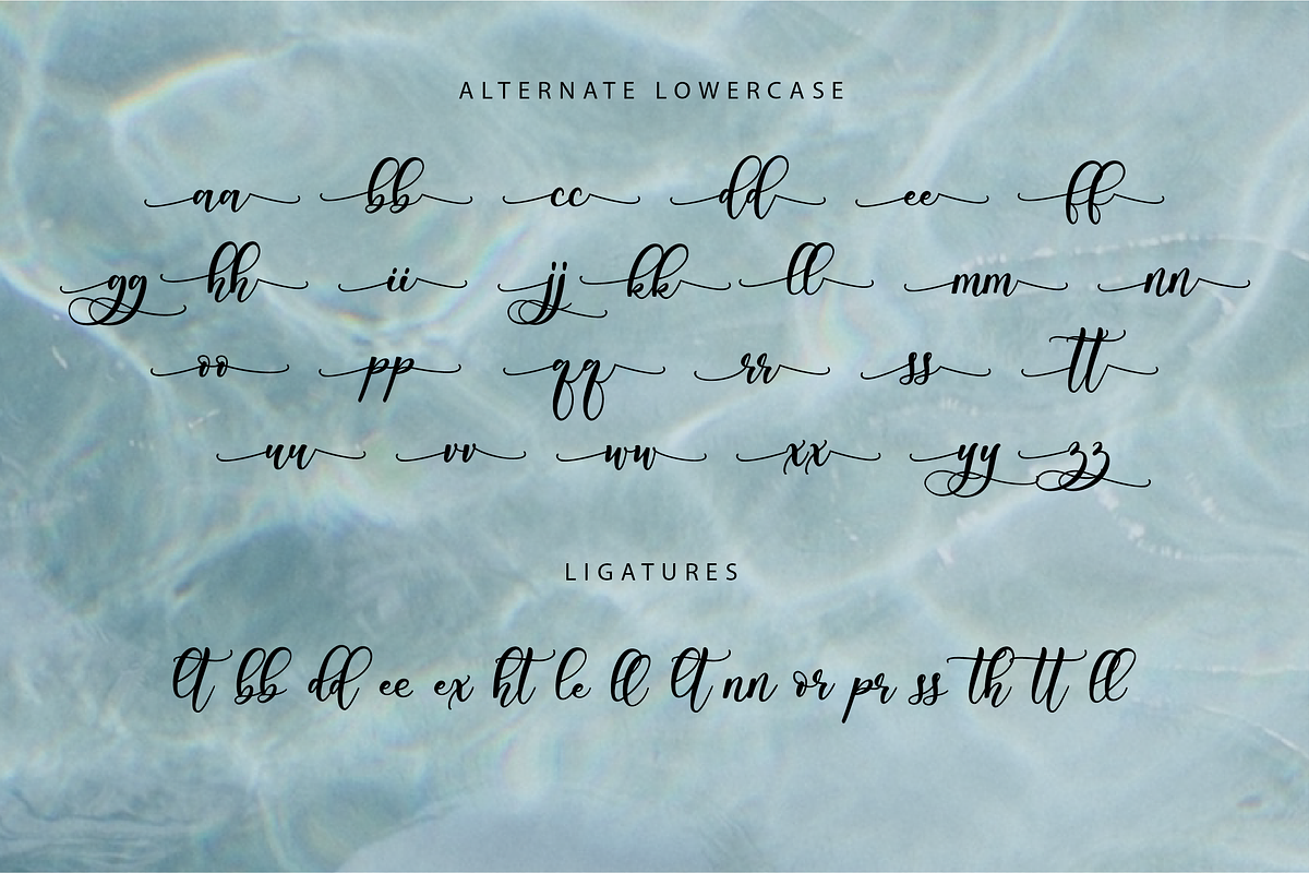 Floral Boutique Calligraphy Font preview 4