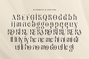 Boutique - Cinematic Luxury Font, a Serif Font by Sensatype (Thumbnail 9 of 12)