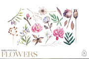 Cicada - Insects & Flowers Ink Set, a Texture Illustration by Kaleriia (Thumbnail 4 of 10)