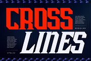 Zelrix Sports - Modern Logo Font, a Serif Font by Nirmana Visual (Thumbnail 9 of 11)