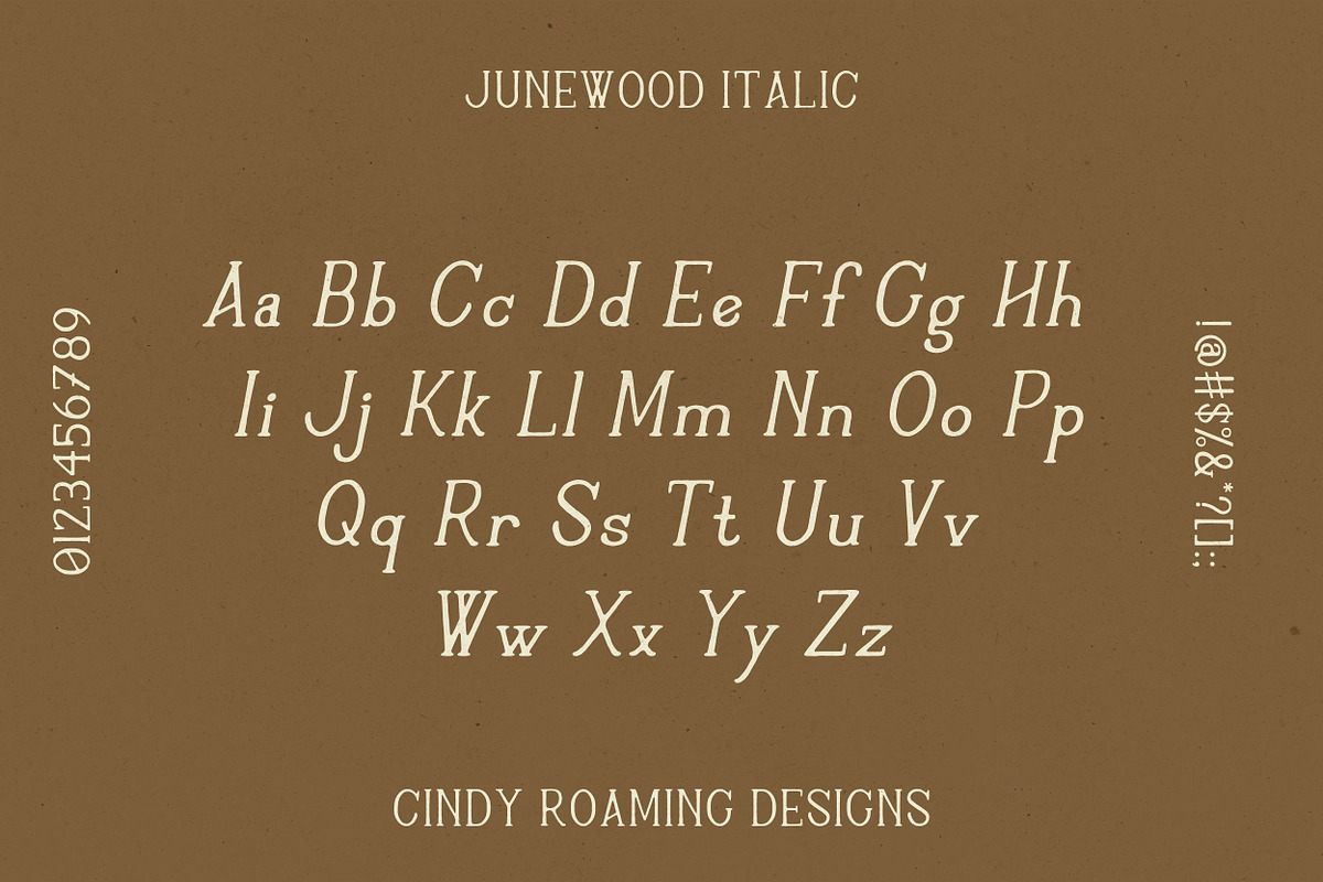 Junewood by Cindy Roaming Designs, a Serif Font by cindyroamingdesigns (Photo 6 of 8)