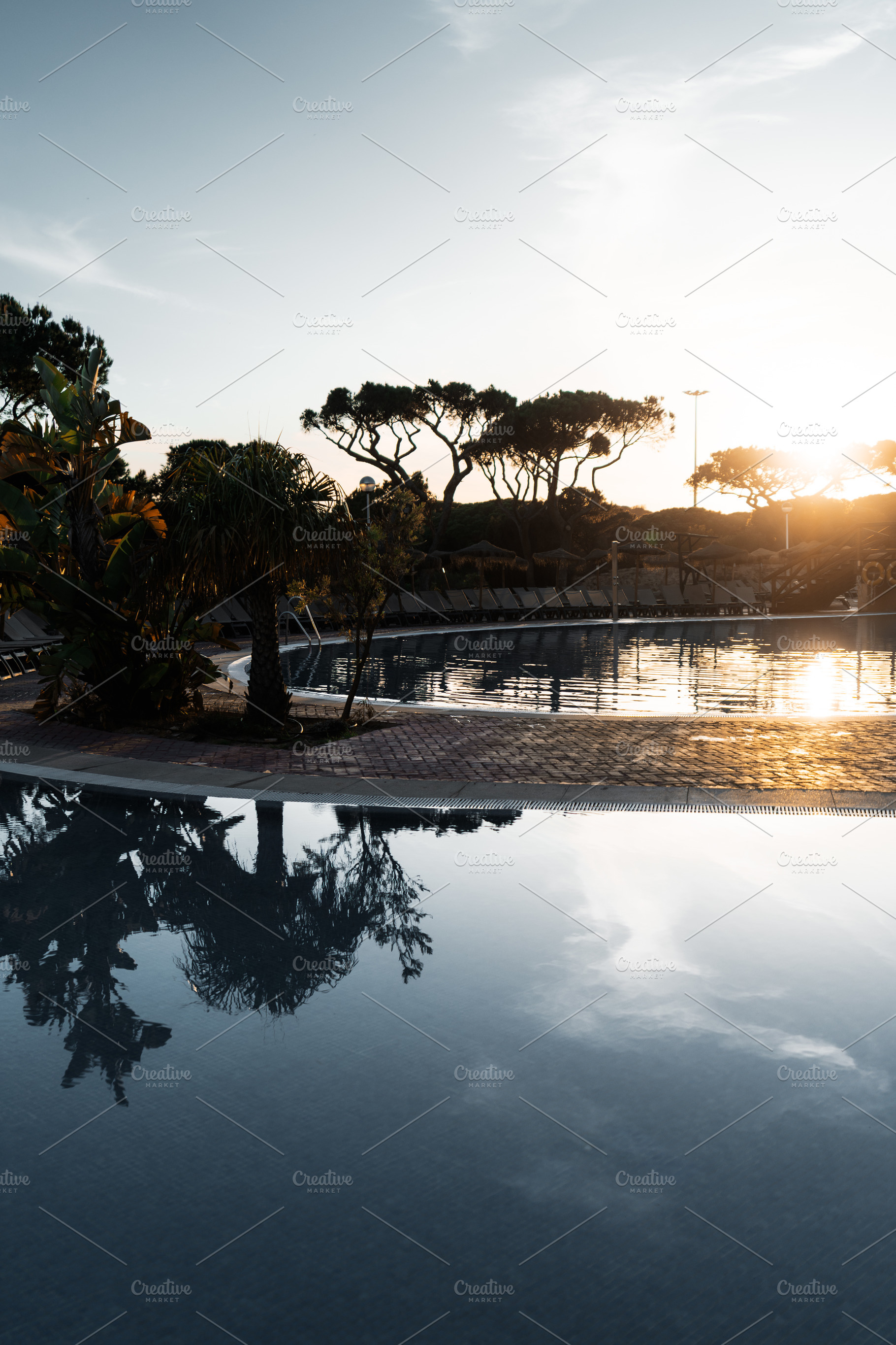 Sunrise poolside tropical calm scene, a Sports & Recreation Photo by SkyNext