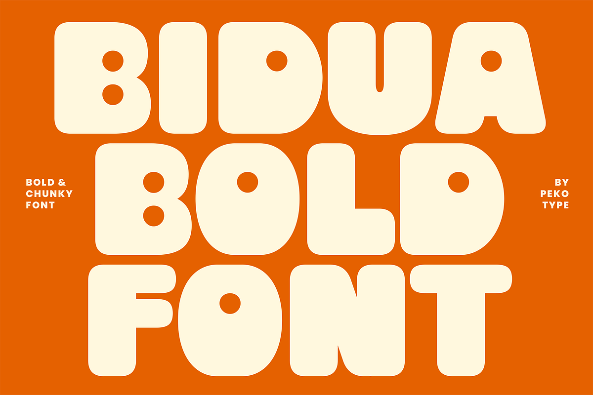 Bidua - Bold Chunk Rounded Display, a Sans Serif Font by Pekotype (Photo 1 of 15)