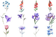 Wildflower Watercolor Flower Clipart, an Illustration by DreamCafeArt (Thumbnail 2 of 8)