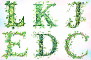 Watercolor Green Leaf Alphabet PNG, an Illustration by Canvas Craft (Thumbnail 3 of 5)