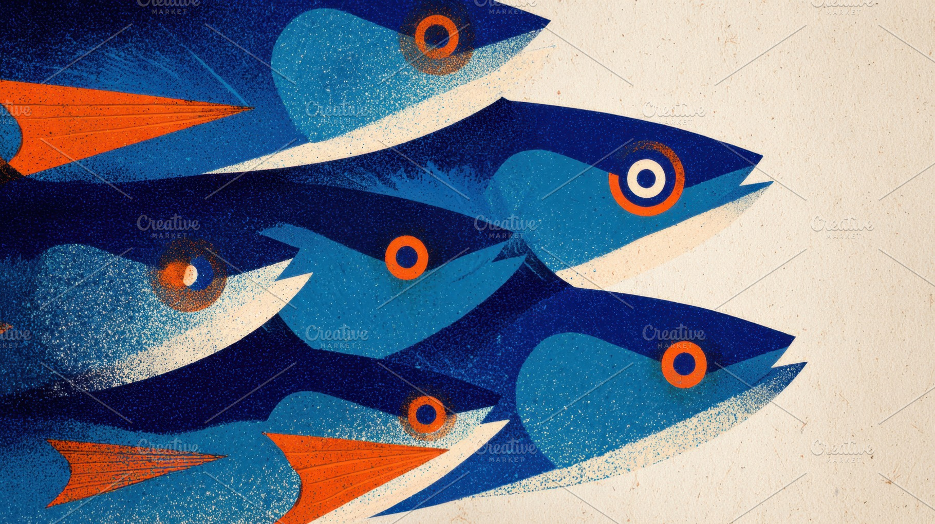 Colorful fish swim in a group, a Photo by Beautiful things