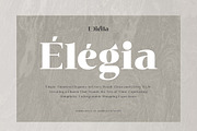 Diella, a Serif Font by Ardyanatypes (Thumbnail 6 of 12)