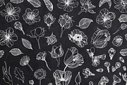 Floral Lineart, an Illustration by Petite Salade (Thumbnail 2 of 2)